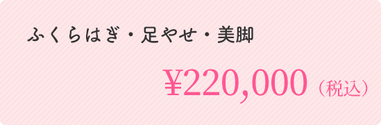 ふくらはぎ・足やせ・美脚 ￥220,000（税込）