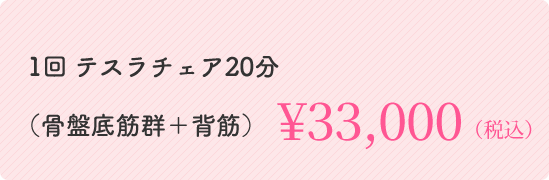 1回 テスラチェア20分（骨盤底筋群＋背筋） ￥33,000（税込）