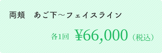 両頬あご下～フェイスライン 各1回 ￥66,000（税込）