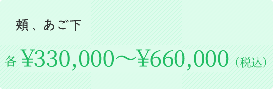 頬、あご下 各￥330,000～￥660,000（税込）