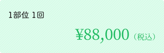 1部位 1回 ￥88,000（税込）