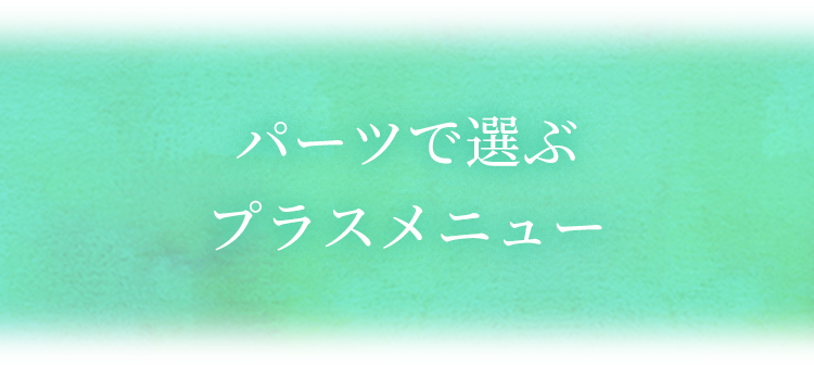 パーツで選ぶプラスメニュー