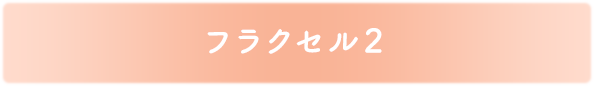 フラクセル２