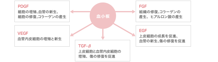 【血小板】PDGF:細胞の増殖、血管の新生、細胞の修復、コラーゲンの産生 VEGF:血管内皮細胞の増殖と新生 TGF-β:上皮細胞と血管内皮細胞の増殖、傷の修復を促進 FGF:組織の修復、コラーゲンの産生、ヒアルロン酸の産生 EGF:上皮細胞の成長を促進、血管の新生、傷の修復を促進