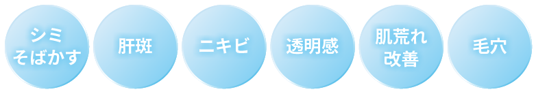 シミ・そばかす/肝斑/ニキビ/透明感/肌荒れ・改善/毛穴