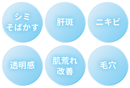 シミ・そばかす/肝斑/ニキビ/透明感/肌荒れ・改善/毛穴