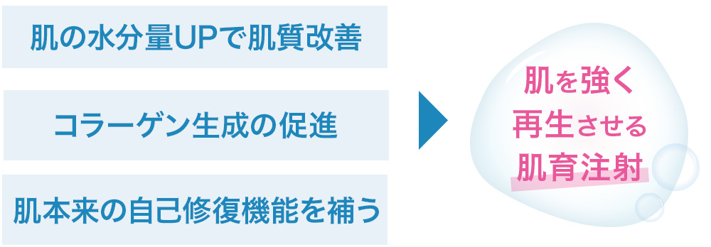 肌の水分量UPで肌質改善/コラーゲン生成の促進/肌本来の自己修復機能を補う→肌を強く再生させる肌育注射