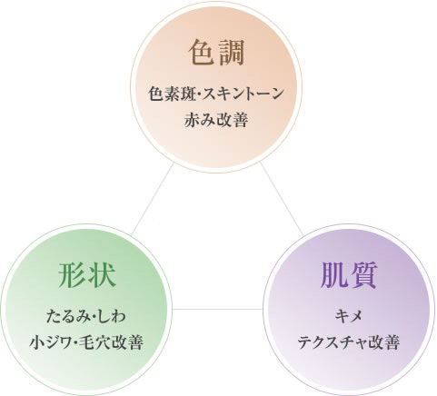 色調:色素斑・スキントーン赤み改善 形状:たるみ・しわ小じわ・毛穴改善 肌質:キメテクスチャ改善