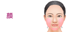 顔