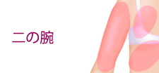 二の腕