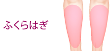 ふくらはぎ