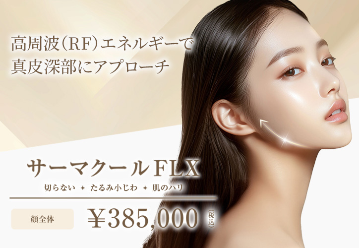 サーマクールFLX/切らない、たるみ小じわ・肌のハリ/顔全体 385,000円(税込)