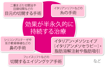 二重まぶた切開法や目頭切開などの目元の切開する手術 シリコンプロテーゼや耳介軟骨移植などの鼻の手術 イタリアンリフトなどの糸の手術 フェイスリフトなどの切開するエイジングケア手術イタリアン・メソシェイプ(イタリアンメソセラピー)・脂肪溶解注射や脂肪吸引 など
